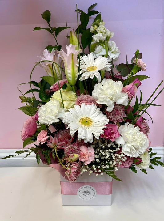 White Box Arrangement