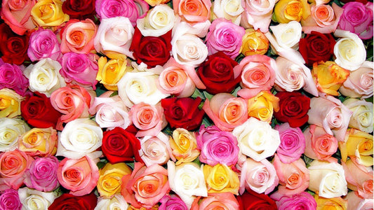 Rose Box